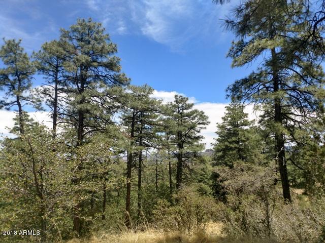 1500 Skyline Drive - Photo 1