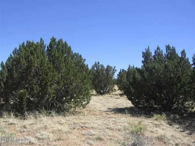 1771 Buffington Hill Road - Photo 1
