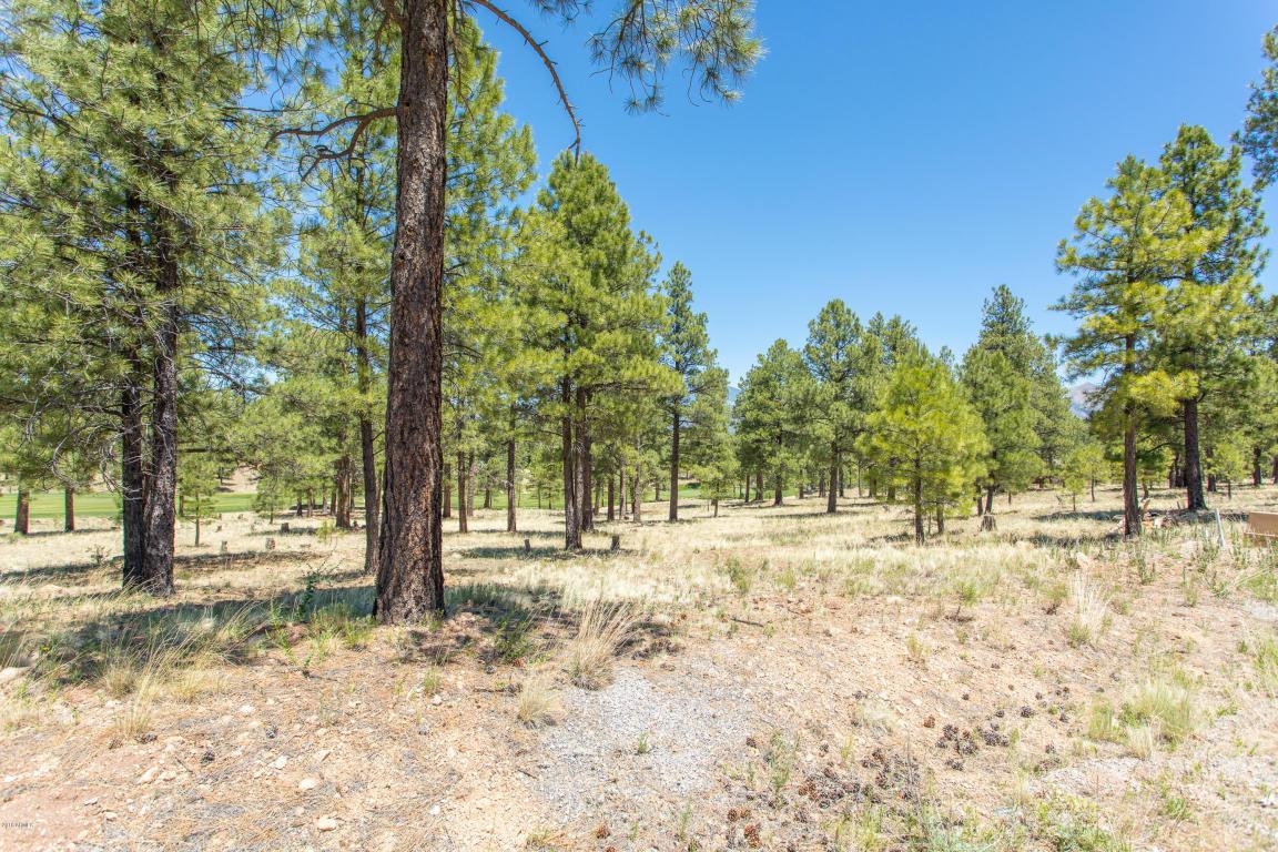 1620 Castle Hills Drive - Photo 1