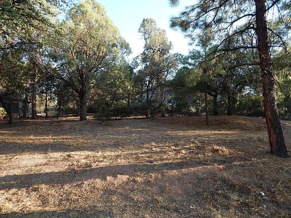 207 Jura Circle - Photo 1