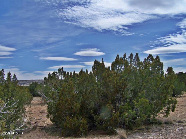 25415 Fort Rock Road - Photo 1