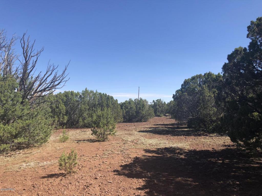 Lot 221 Show Low Highlands - Photo 1