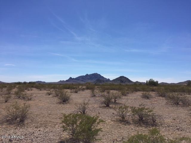 xxx 319th Avenue - Photo 1