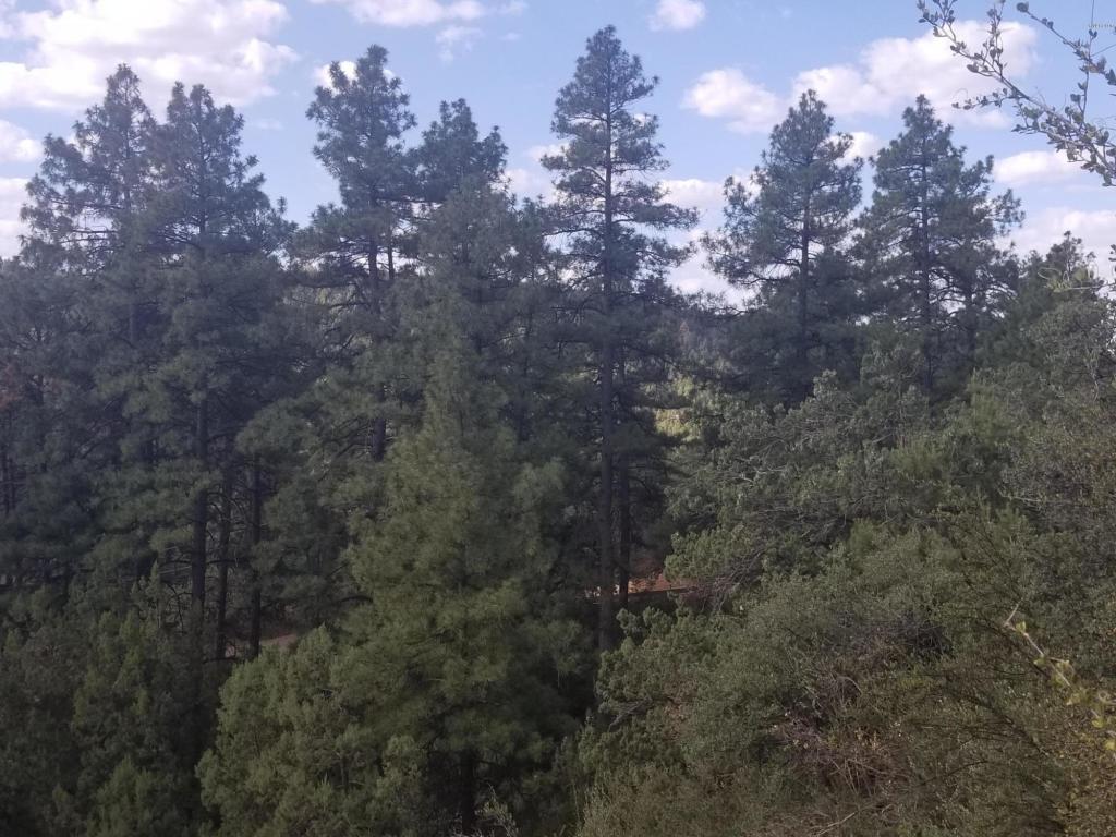 27 Coyote Drive - Photo 1
