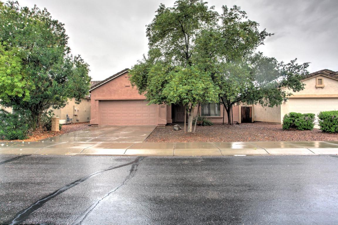 30032 Yellow Bee Drive - Photo 1