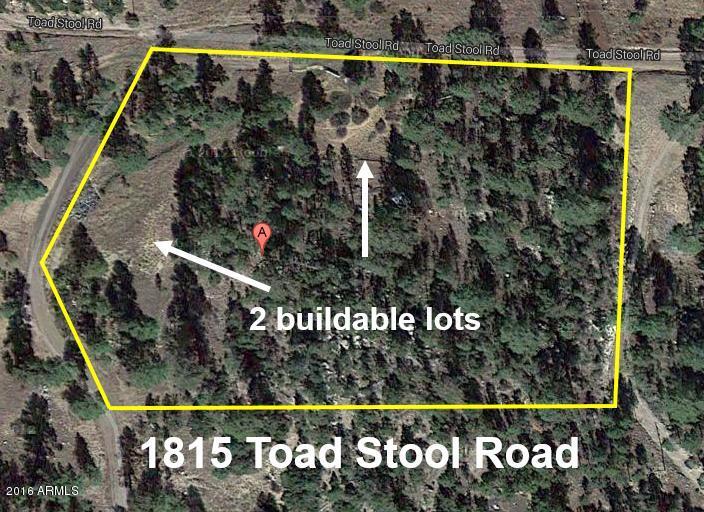 1815 Toad Stool Road - Photo 1