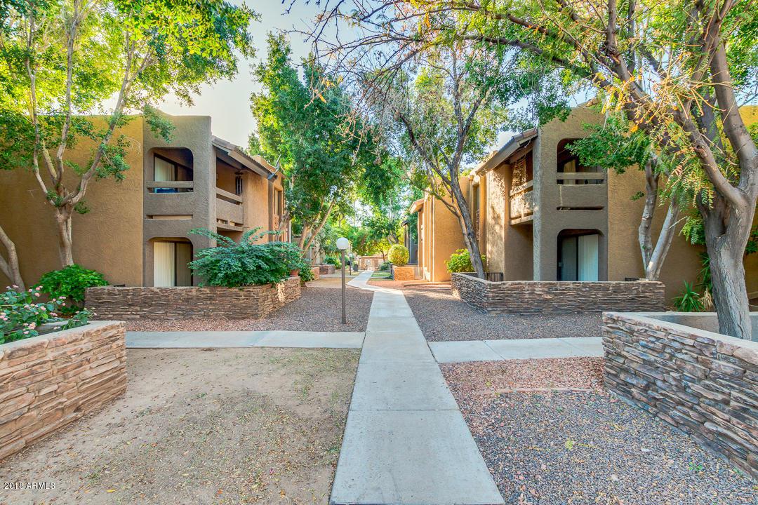 3825 Camelback Road - Photo 1