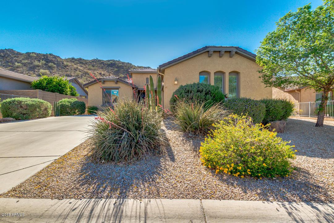31916 Larkspur Drive - Photo 1