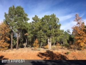 61 Lupine Lane - Photo 1