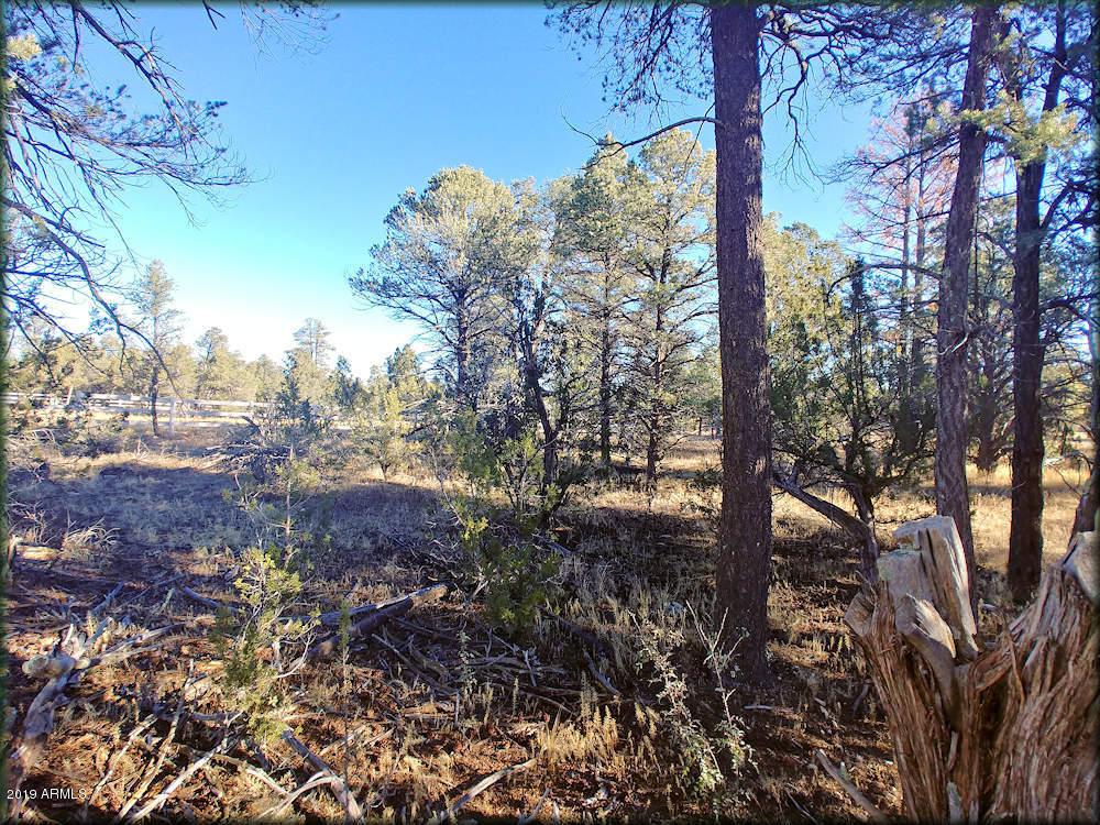 3355 Apache Drive - Photo 1
