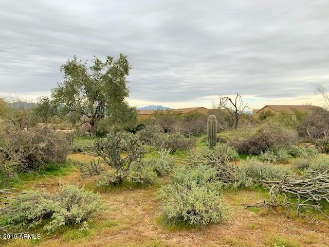 29904 166TH Way - Photo 1