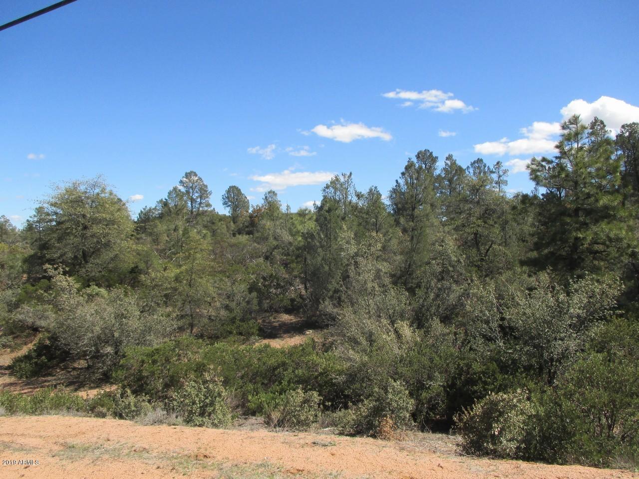 2003B Highway 260 - Photo 1