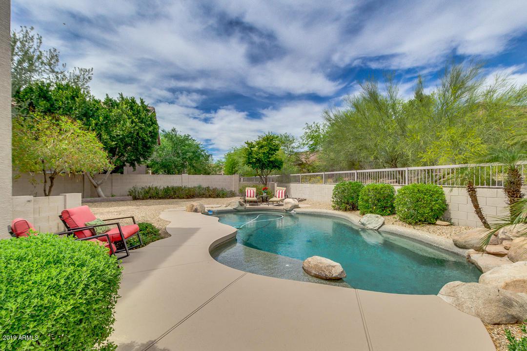 7726 Sierra Morena Street - Photo 1