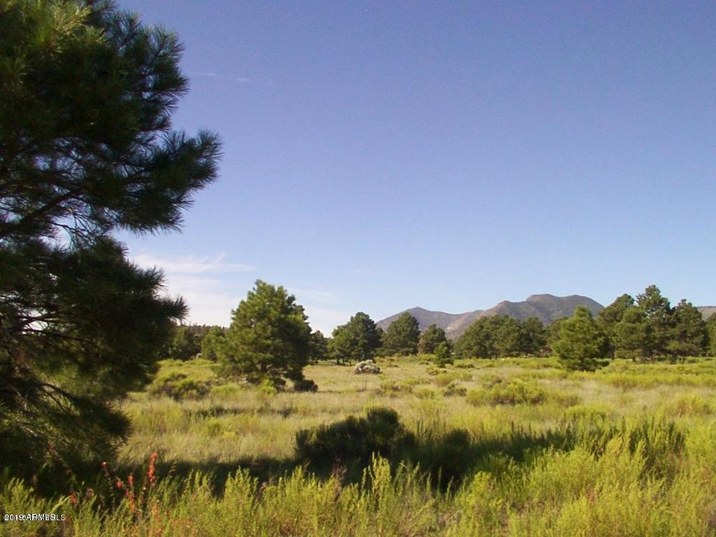 5560 Atkinson Road - Photo 1