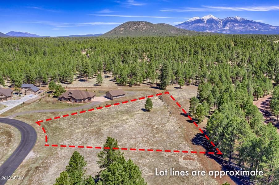 4607 Brackin Ranch Road - Photo 1