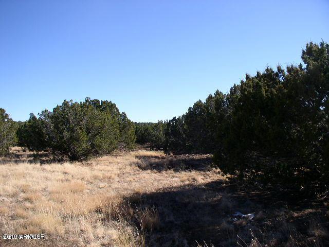 Lot 341 Show Low Pines Unit 3 - Photo 1