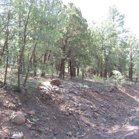 TBD Springer Mountain Road - Photo 1