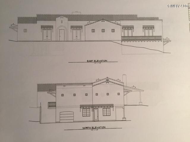 39307 Silver Saddle Drive - Photo 1