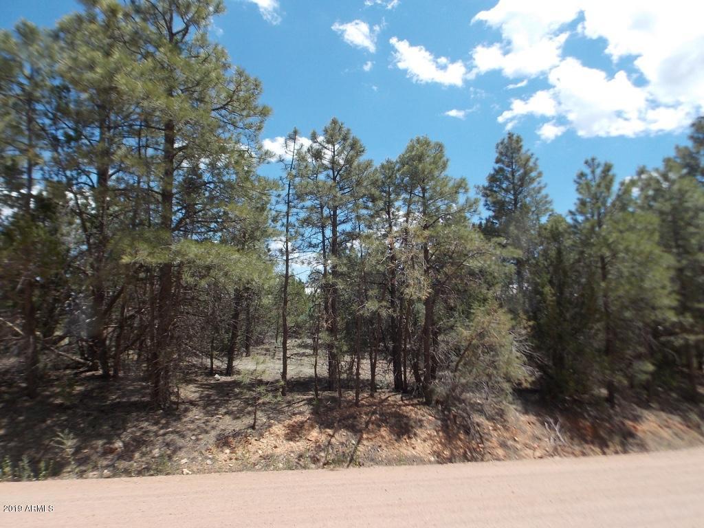 2077 Sagebrush Drive - Photo 1