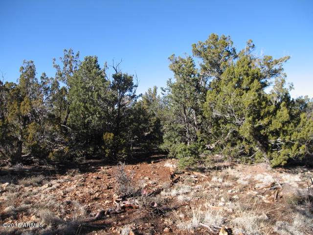 3972 Sunset Ridge Loop - Photo 1