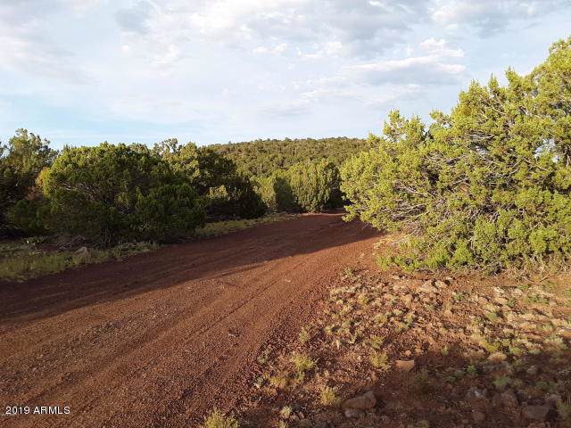 Lot #318 Show Low Highlands - Photo 1