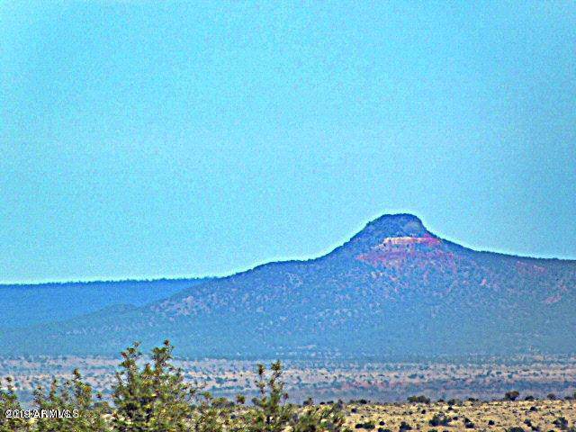 10756 Line Cook Trail - Photo 1