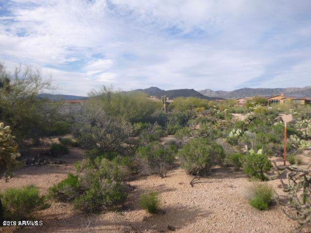 36419 Romping Road - Photo 1