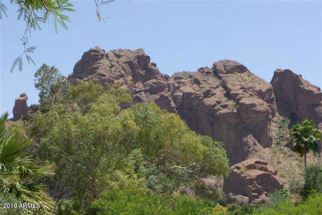 4728 Palo Verde Drive - Photo 1