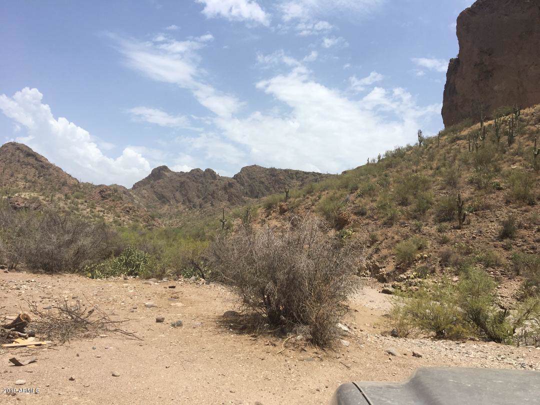 0xxx Lake Pleasant Road - Photo 1
