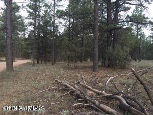 2086 Ponderosa Trail - Photo 1