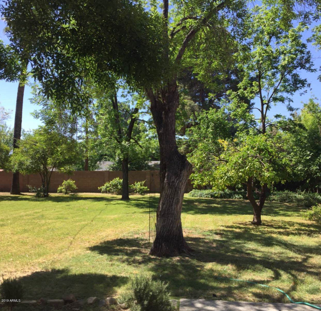 203 Griswold Road - Photo 1