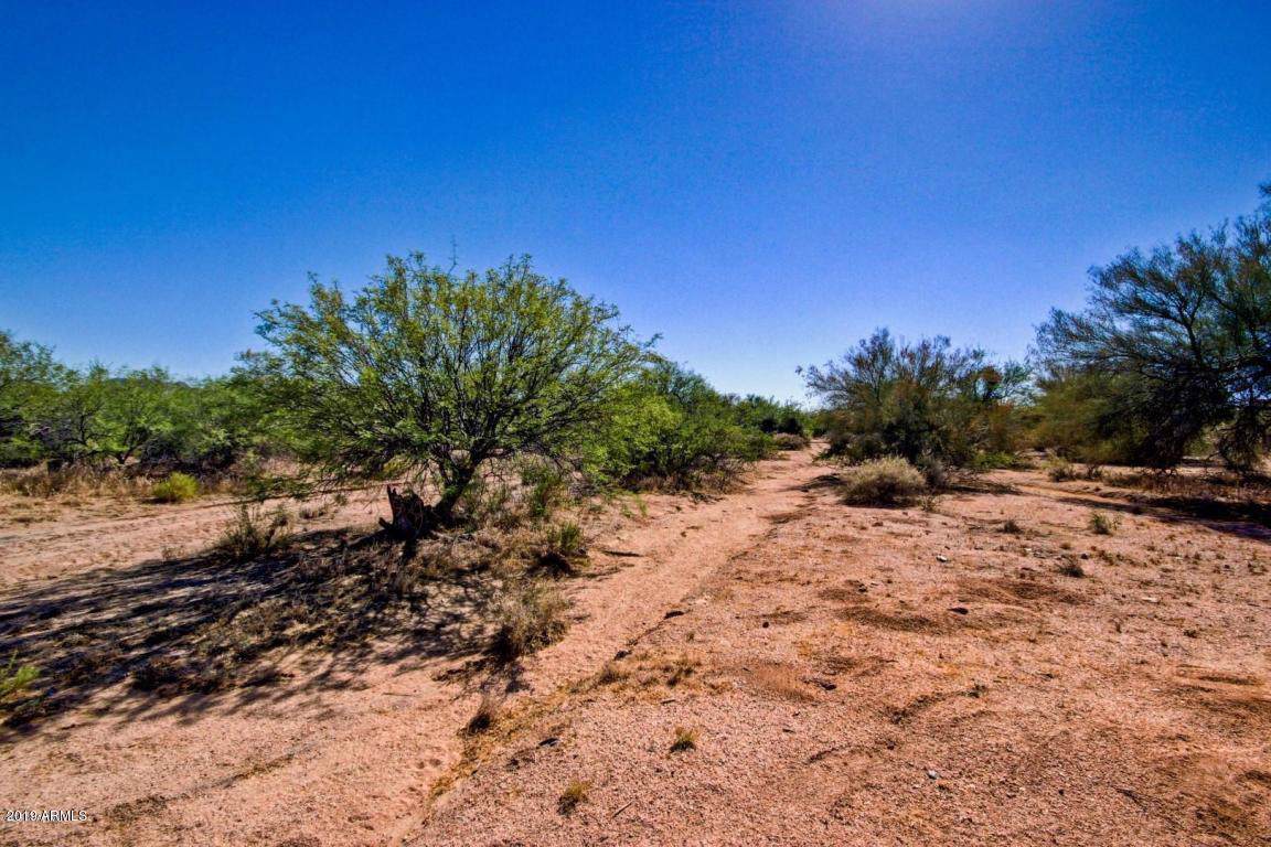 29452 146TH Street - Photo 1