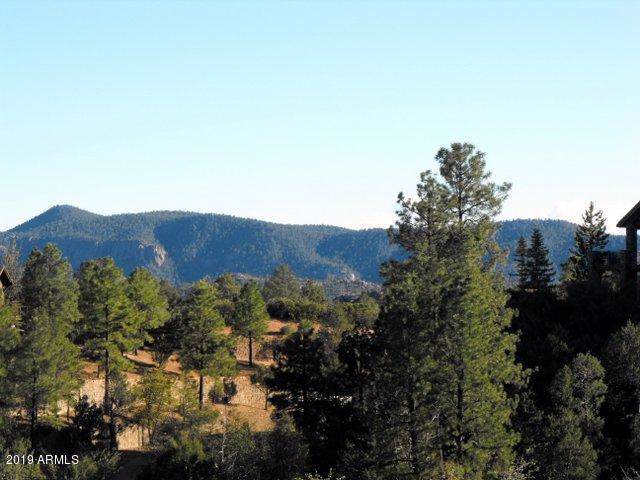 2808 Coyote Mint Circle - Photo 1