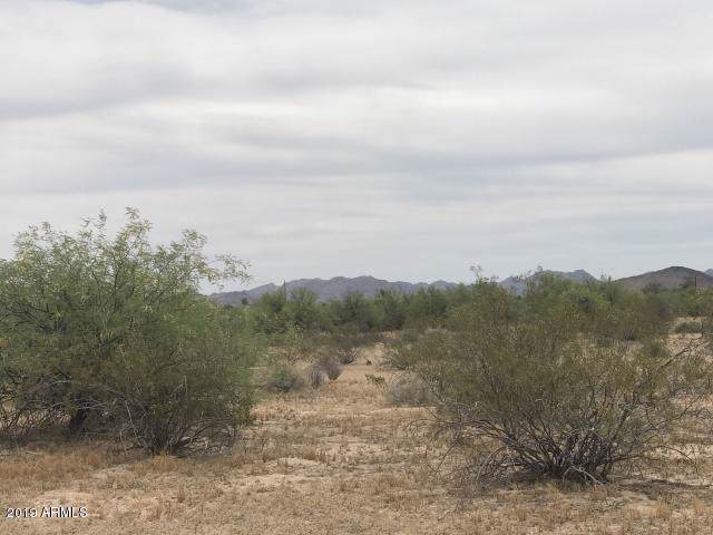 35XXX Caldwell Street - Photo 1