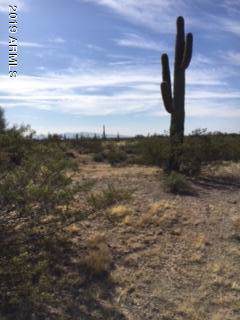 41500 251ST Avenue - Photo 1 41500 251ST Avenue - Photo 1