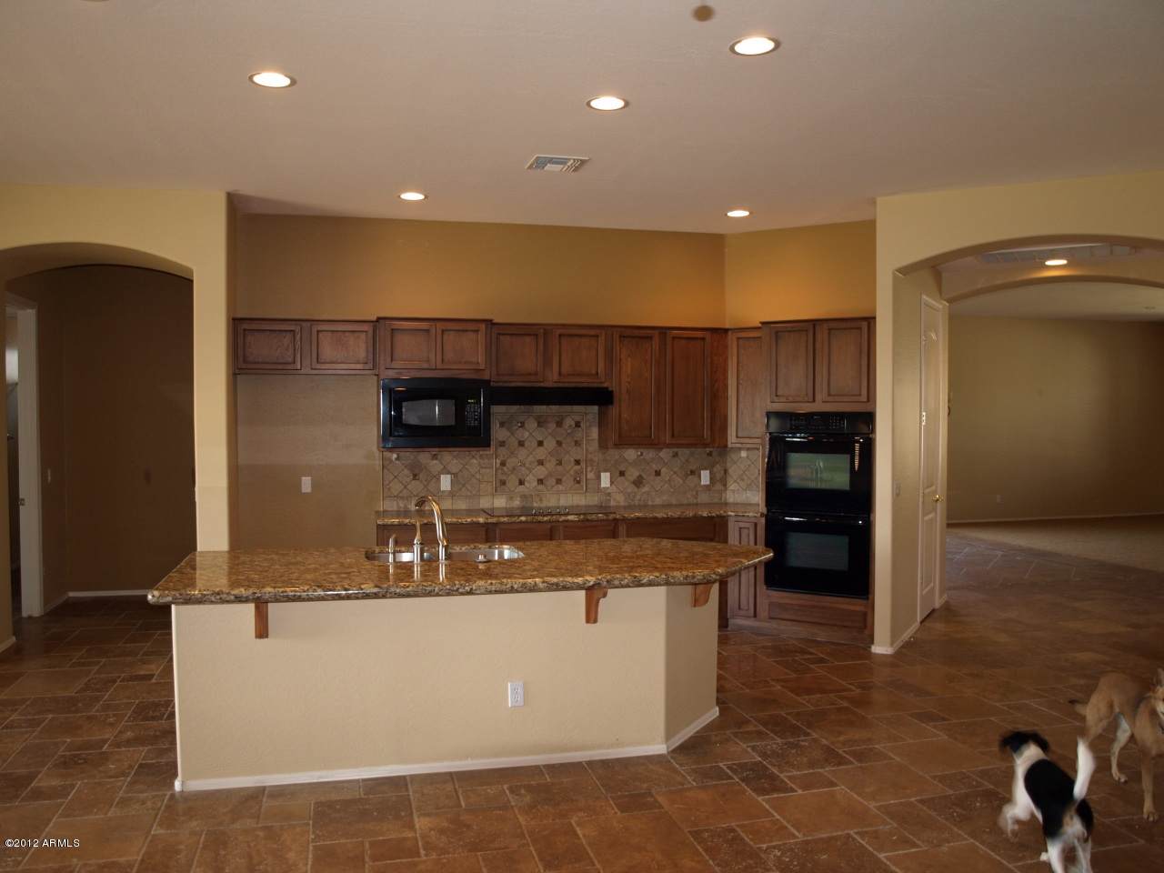 2329 Desperado Way - Photo 1