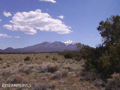 1043 Forest Service 9129A Road - Photo 1