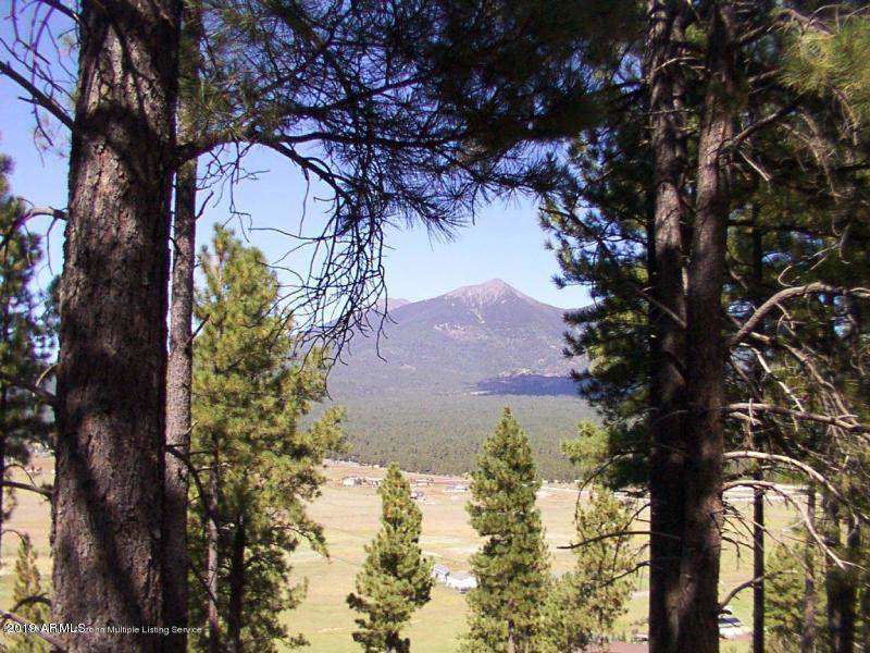 6915 Suzette Lane - Photo 1