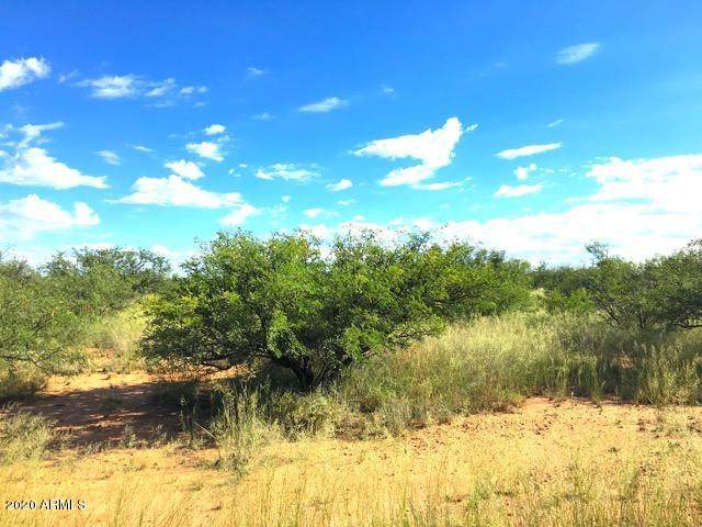 TBD Quail Call Lane - Photo 1