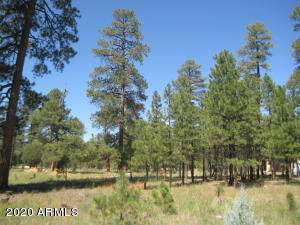 1822 Sugar Pine Drive - Photo 1
