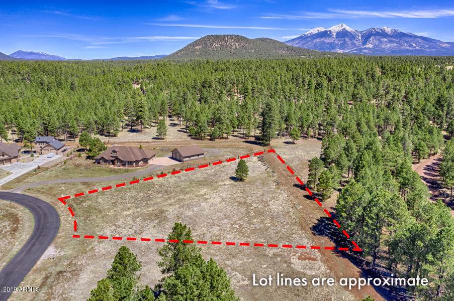 4607 Brackin Ranch Road - Photo 1