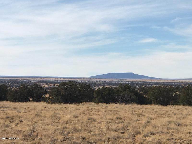 6069 Wide Sky Road - Photo 1 6069 Wide Sky Road - Photo 1
