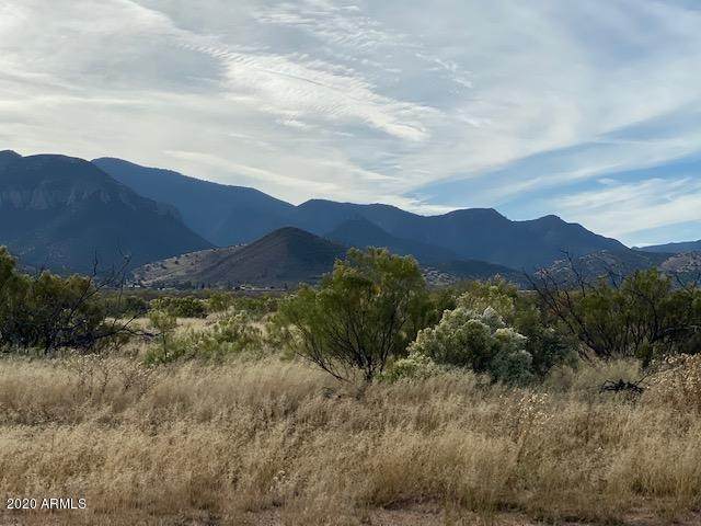 6143 C Calle De La Menta - Photo 1