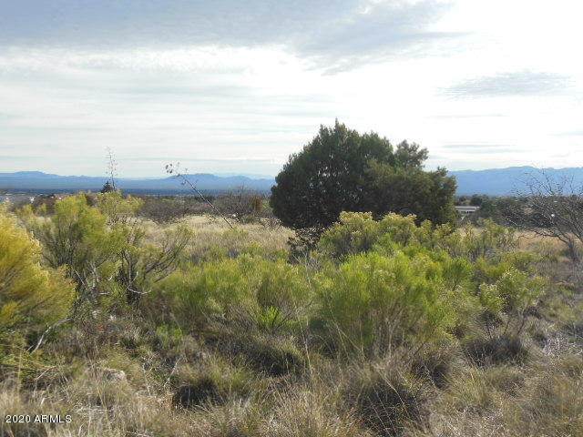 1.25 Acres Whitewing Road - Photo 1 1.25 Acres Whitewing Road - Photo 1