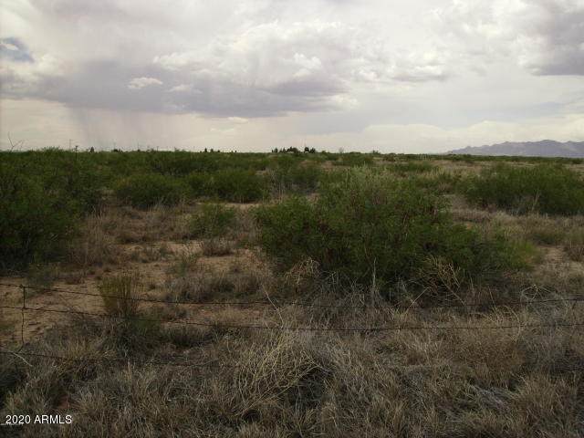 40535002g Wiggins Road - Photo 1