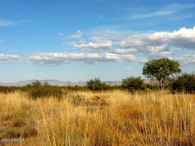 40 Acres On Grimmett Road - Photo 1