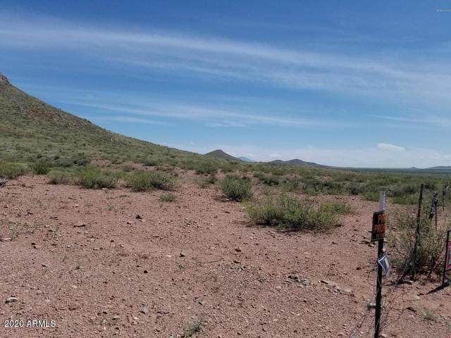 TBD Quail Run - Photo 1
