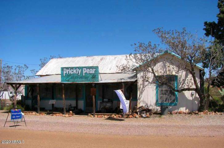 966 Ghost Town Trail - Photo 1