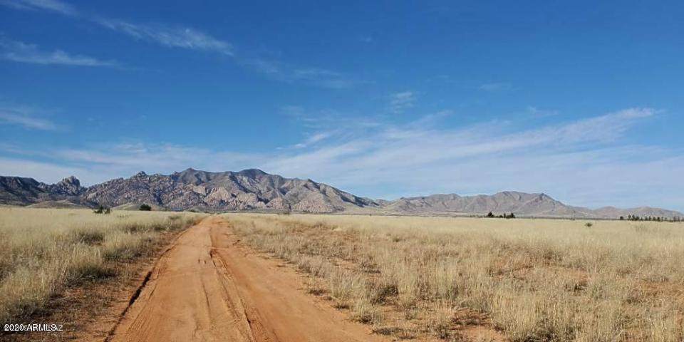 1.65 Acre(2 Lots) On Fargo&Willcox Road - Photo 1