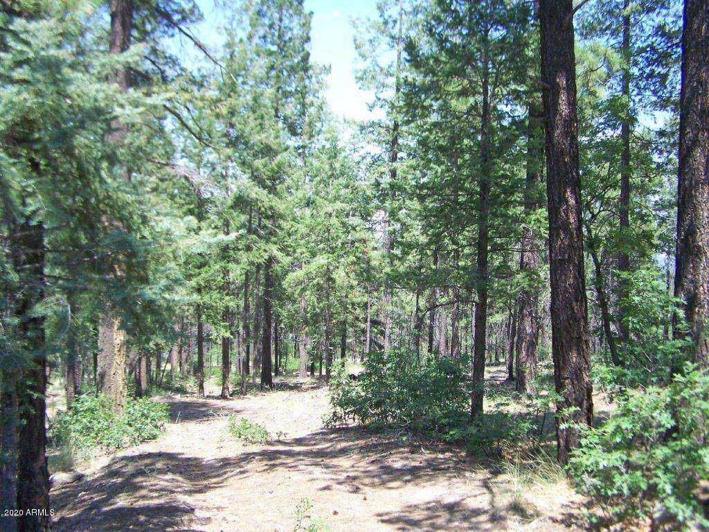 Lot 47 Copper Mountain Circle - Photo 1 Lot 47 Copper Mountain Circle - Photo 1